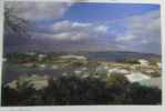 Bermuda: Gardens & Houses (en anglais). Macdonald-Smith Ian