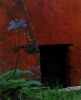 Bermuda: Gardens & Houses (en anglais). Macdonald-Smith Ian