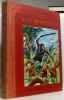 L'&icirc;le myst&eacute;rieuse - illustrations de Dimpre. Verne