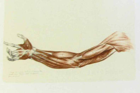 Dessins anatomiques de David d'Angers (présentés par André Bruel). D'Angers David