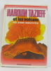 Haroun tazieff et les volcans. Berelovitch André  bichet Pierre (illustrations)