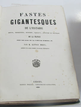 Fastes gigantesques de l'histoire de la france sous les rois de la famille d'henri IV. Driou Alfred M
