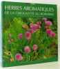 Herbes aromatiques : De la ciboulette au romarin. Deschamps Lucienne  Maroussy Annick