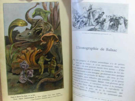 La contemporaine 1901-1902 en 4 vols - rangement par catégories: romans et nouvelles - contes et fantaisies humoristiques théâtre études littéraires ...