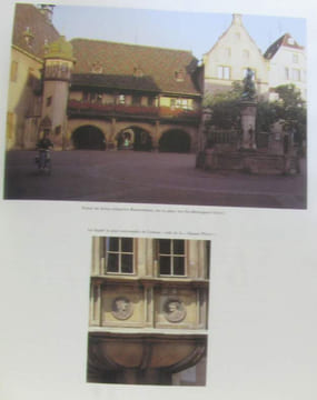 Le grand livre des vins d'Alsace. Jacquemont Guy Style Sue