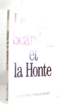 Le scandale et la honte. Schneider Bertrand
