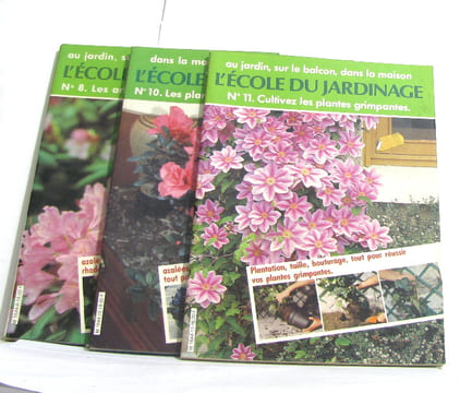 L'école du jardinage n°8 - 10 et 11 ( les arbustes de terre de bruyère - les plantes fleuries d'appartement - cultivez les plantes grimpantes. Anonyme