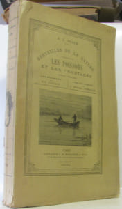 Les poissons et les crustacés - merveilles de la nature
