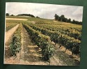 La Charente - La revue géographique et industrielle de France 62e année nouvelle série n°29. Collectif