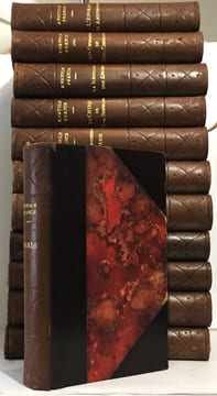12 romans (voir liste complète des titres en description): L'orme du mail + Le mannequin d'osier + Histoire comique + Sur la pierre blanche + l'île ...
