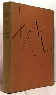 Vagabond des andes. Deleuze Bernard