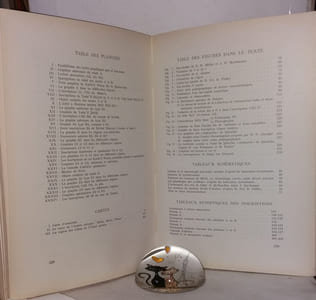 Paléographie des inscriptions sud-arabes contribution à la chronologie et à l'histoire de l'arabie du sud antique - TOME I Des origines jusqu'à l'époque himyarite