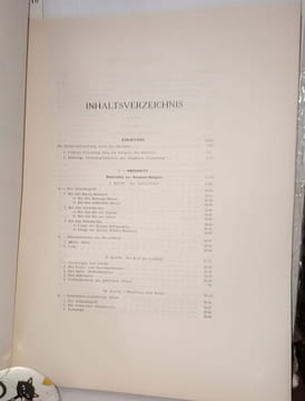 Die Bammbuti-Pygmäen vom Ituri II Band ergebnisse zweier forschungsreisen zu den zentralafrikanischen pygmäen - in drei bänden. Schebesta Paul