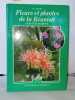 Fleurs Et Plantes De La Reunion Et De L'Ile Maurice. Cadet Th
