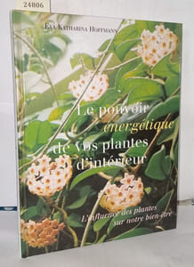 Le pouvoir energetique de vos plantes d'intérieur l'influence des plantes sur notre bien être
