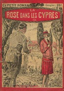 La rose dans les cyprès