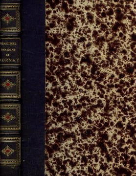 Mémoires de Madame de Mornay tome 1. Witt Madame De
