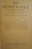 Revue horticole - Journal d'horticulture pratique - Fondée en 1829 par les auteurs du Bon Jardinier. - 66e année - 1894.. [Horticulture - Botanique] - ...