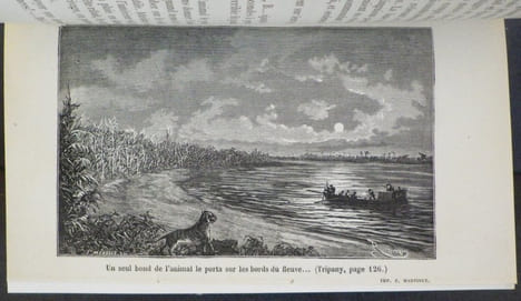Les Moeurs et les Femmes de l'Extrême Orient - Voyage au Pays des Bayadères.. JACOLLIOT (Louis).