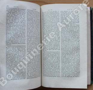 Dictionnaire des Beaux-Arts.