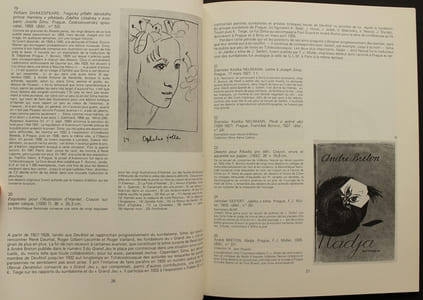 Joseph Sima 1891-1971 - Oeuvre graphique et Amitiés littéraires.L.D. Germain 1870-1936 - Reliures.