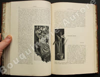 Cuore. Libro per i ragazzi.Nuova edizione popolare illustrata con disegni di A Ferraguti, E. Nardi e A. G. Sartorio.