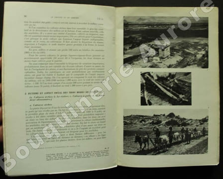 Une sous-caste de l'Inde du Sud. Organisation Sociale et Religion des Paramalai Kallar.. DUMONT (Louis).