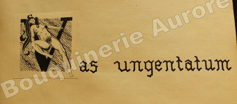 Oeuvres libres - Amies - Femmes - Hombres.. --Tapuscrit agrémenté de 41 vignettes érotiques à l'encre de Chine--VERLAINE (Paul).