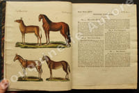 Bilderbuch für Kinder  Porte-Feuille des Enfans. Mélange intéressant dAnimaux, Plantes, Fleurs, Fruits, Minéraux, Costumes, Antiquités et autres Objets instructifs et amusants pour la jeunesse ; choisis et gravés sur les meilleurs originaux, avec de courtes Explications scientifiques et proportionnées à lentendement dun enfant. Volume second.
