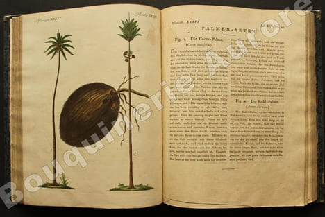Bilderbuch für Kinder  Porte-Feuille des Enfans. Mélange intéressant dAnimaux, Plantes, Fleurs, Fruits, Minéraux, Costumes, Antiquités et autres ...