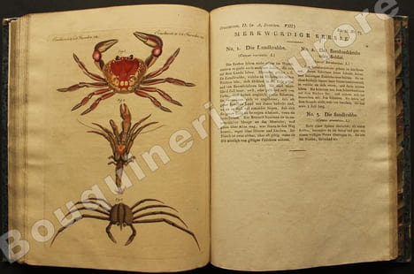 Bilderbuch für Kinder  Porte-Feuille des Enfans. Mélange intéressant dAnimaux, Plantes, Fleurs, Fruits, Minéraux, Costumes, Antiquités et autres ...