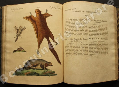 Bilderbuch für Kinder  Porte-Feuille des Enfans. Mélange intéressant dAnimaux, Plantes, Fleurs, Fruits, Minéraux, Costumes, Antiquités et autres ...