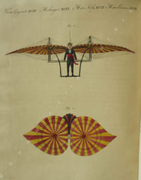 Bilderbuch für Kinder  Porte-Feuille des Enfans. Mélange intéressant dAnimaux, Plantes, Fleurs, Fruits, Minéraux, Costumes, Antiquités et autres Objets instructifs et amusants pour la jeunesse ; choisis et gravés sur les meilleurs originaux, avec de courtes Explications scientifiques et proportionnées à lentendement dun enfant. Volume sixième.