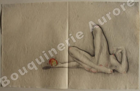 Aréole peu marquée.La Vie des Seins.