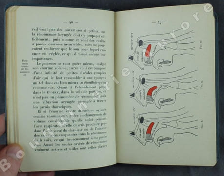 La voix et son hygiène.. Mermod (Docteur).