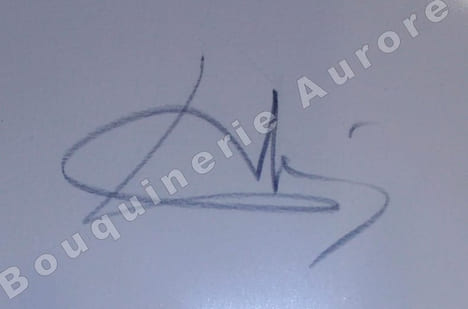 Grande feuille in-plano vierge portant la véritable signature de Dali au Crayon.. "Tenez, faites donc du Dali et enrichissez-vous !".DALI (Salvador).