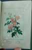 Histoire des roses. Ornée de 12 planches en couleur, dessinée par P. Bessa.. 12 planches de roses délicatement aquarellées.[BESSA (Pancrace)] - MALO ...