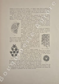 Esquisses décoratives. Préface de Gustave Geoffroy.