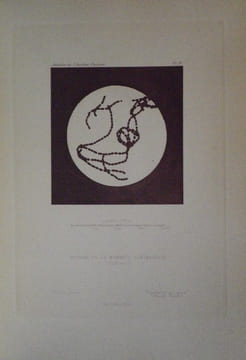 Annales de l'Institut Pasteur (Journal de Microbiologie) - Tome Premier - 1887. Publiées sous le patronage de M. Pasteur.. [PASTEUR (Louis)] - DUCLAUX ...