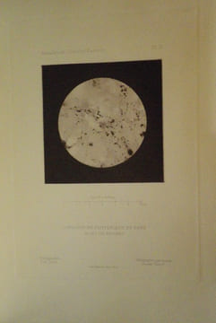 Annales de l'Institut Pasteur (Journal de Microbiologie) - Tome Premier - 1887. Publiées sous le patronage de M. Pasteur.. [PASTEUR (Louis)] - DUCLAUX ...