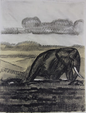 Le Livre des bêtes qu’on appelle sauvages. Illustration de Paul Jouve.. JOUVE Paul - DEMAISON André