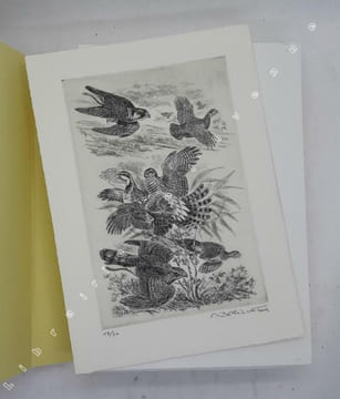 Lexique de la chasse au vol : terminologie française du XVIe au XXe siècle / Hubert Beaufrère ; illustrations de Francis Bérille. [Fauconnerie] ...