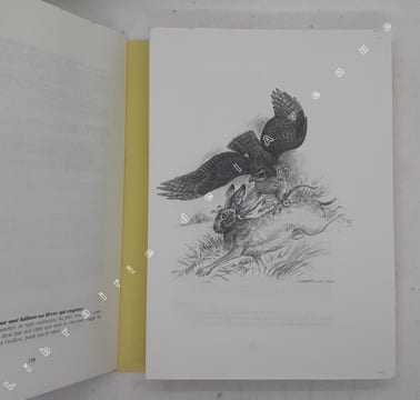 Lexique de la chasse au vol : terminologie française du XVIe au XXe siècle / Hubert Beaufrère ; illustrations de Francis Bérille. [Fauconnerie] ...