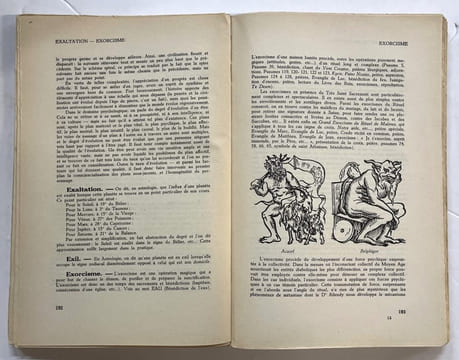 Dictionnaire pratique des sciences occultes. Introduction du docteur Roger Frétigny. [Occultisme] VERNEUIL, Marianne