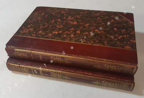 Mémoires de Luther écrits par lui-même . traduits et mis en ordre par Jules Michelet,.... Suivis d'un Essai sur l'histoire de la religion, et des ...