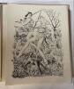 Daphnis et Chloé. Longus ; Ballivet Suzanne (lithographies originales)