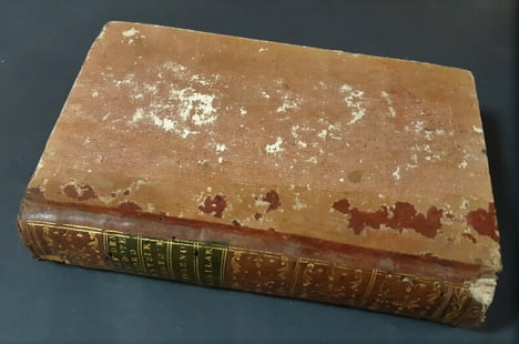 Les Caprices de la fortune, ou Histoire du Prince Mentzikoff, favori du czar Pierre Ier avec un précis historique des révolutions arrivées en Russie ...