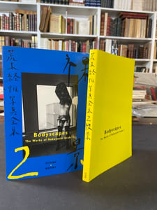 The works of Nobuyoshi Araki - 2. Bodyscapes