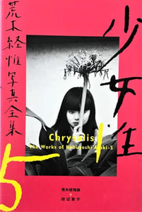 The works of Nobuyoshi Araki - 5. Chrysalis