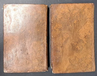 Fragmens d'un voyage en Afrique fait, pendant les années 1785, 1786 et 1787, dans les contrées occidentales de ce continent,... [2 volumes]
